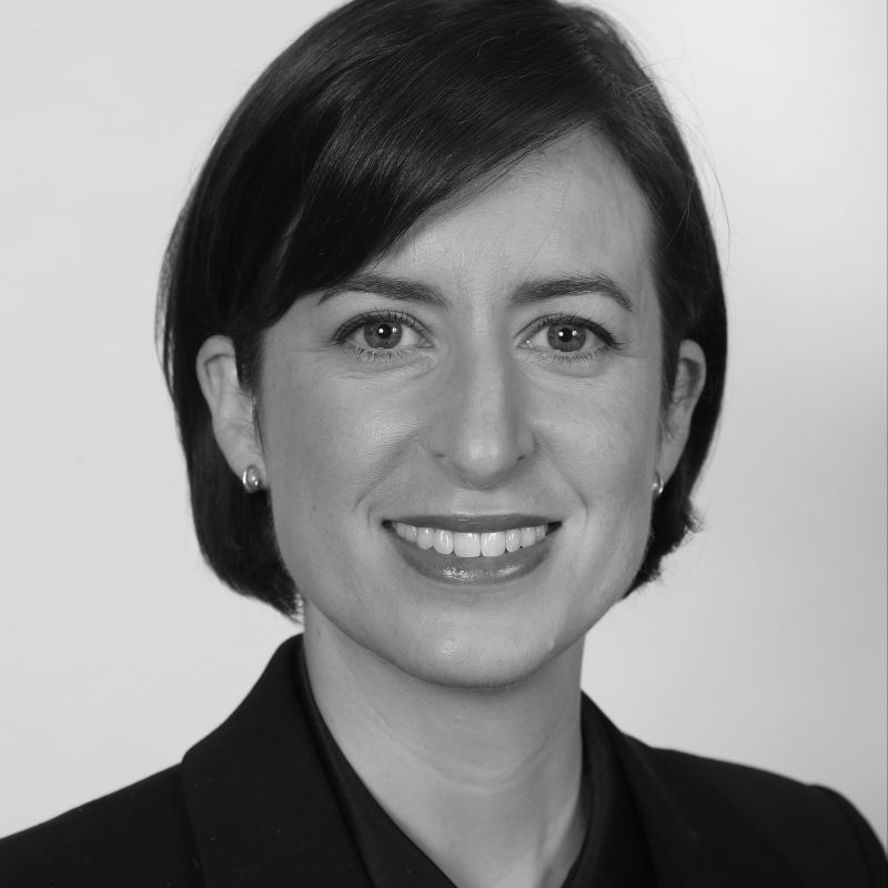 SJ Pisciotti