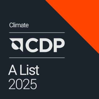CDP 2025