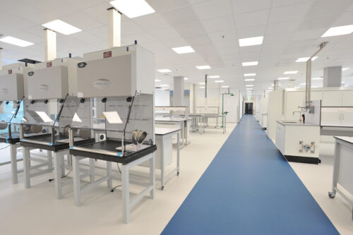 MSD Haarlem