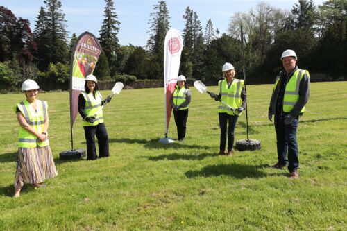 Coillte Avondale branded flags