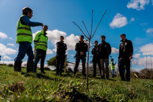 Sisk tree planting 1